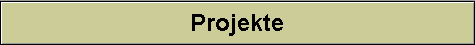 Projekte